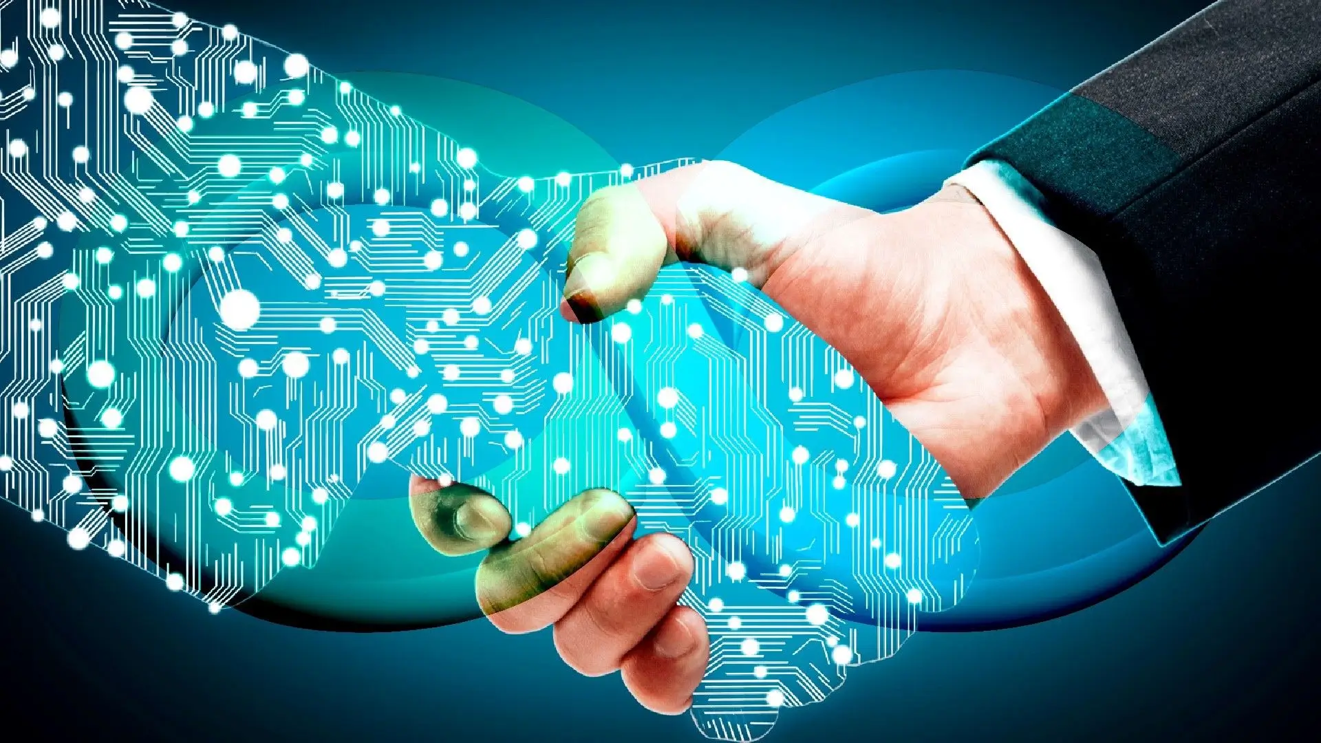 Empowering Businesses Through Expertise
